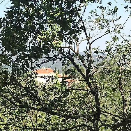 Mas D'en Pachette Appartamento Le Boulou